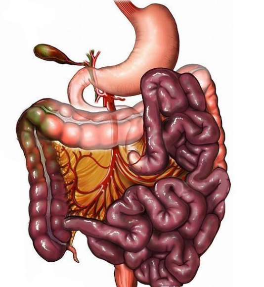 腸息肉者，排便出現(xiàn)3個(gè)異常，十有八九息肉已變成“癌”